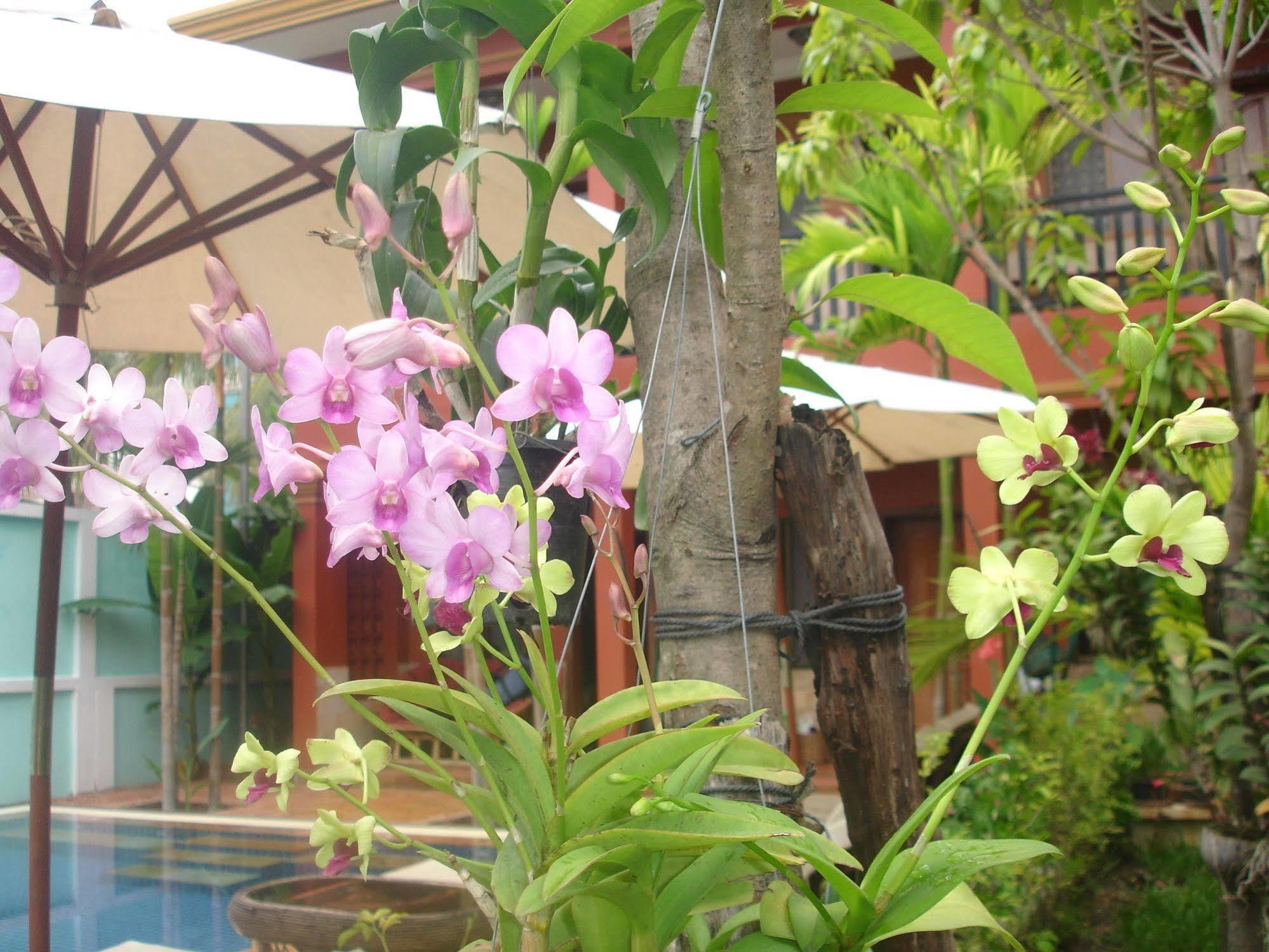 Jasmine Family Hostel Ciudad de Siem Riep Exterior foto